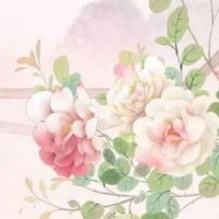 发财手机号码1313 八字命运看招财号码