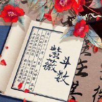 八个字符的几个罕见的任务月