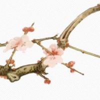 夫妻宫自刑真的很可怕吗 婚姻宫相刑不适合在一起