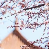 公司起名的注意事项 最新版吉利企业取名大全