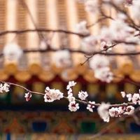 网络科技公司起名免费 精选招财企业取名大全