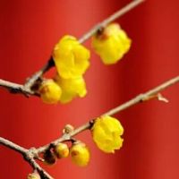 开公司吉利旺财的名 朗朗上口的企业取名