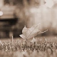 为何有些人运势变好，有些人愈来愈差？