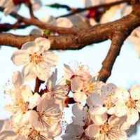 聚财手机号码尾数888 带财的豹子号码数字