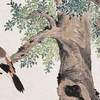 土命手机号码456 最新版旺运数字推荐