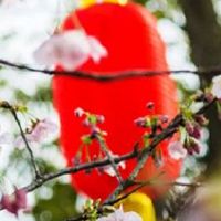 聚财手机号码尾数33 带财的吉利号码尾数