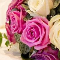 生肖羊2022年8月上等结婚日子 嫁娶吉日查询