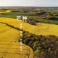 6月6日，2022年，虎宝宝，谁出生于曼，是好的？什么是五行？