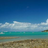 女孩在2019年7月1日的时间出生如何？五个要素是什么？