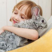 6月6日，2022年，Mangyu，出生的女孩，五行，缺陷，有一个内涵的意义