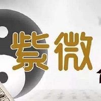 紫微斗数紫府朝垣格