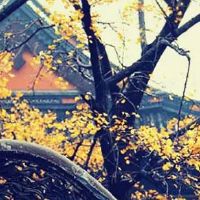 车牌号码001真的好吗 生辰八字选旺运牌照