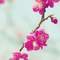 百货小店取什么名字好呢 热门店铺取名大全集