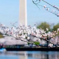 适合土特产的店铺名字 新店起名高端大度