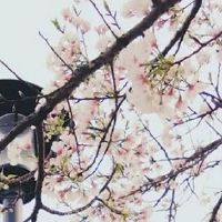 卖农村土特产店铺名字 创意好听的新店起名