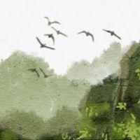 看到你的迹象和感情，看看你是否有