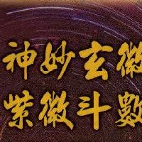 紫微斗数甲级星曜：龙池星