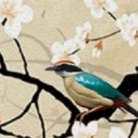 86年属虎2022年运势详解 异性缘旺盛寓意婚恋稳固