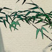 本命年姐姐买红内衣寓意 买红内衣的注意事项