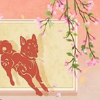 属于2022年的桃子桃花的兔子