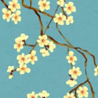 1986年属虎在2022怎么样 财运事业双吉星拱照