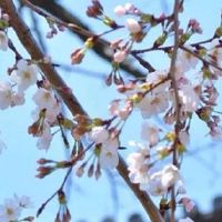 聚财手机号码尾数87413 盘点前途无量的发财号码