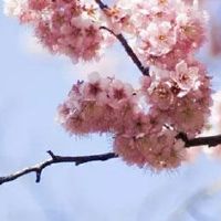 聚财手机号码尾数1144 数字五行看大吉尾号