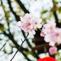 聚财手机号码尾数1好吗 天医大吉手机号磁场解读