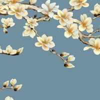 生肖虎2022年7月上等提车好日子 购新车讲究事宜