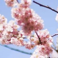 2012年属龙的几月出生好 七月出生不缺钱