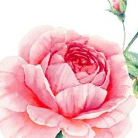 1986属虎佩戴什么旺财 86年属虎人佩戴貔貅招财聚宝