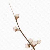 单身者婚姻宫流年遇冲 婚姻受冲和婚姻宫受刑一样吗