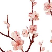 夫妻宫是看自己还是对方 夫妻宫看另一半性格