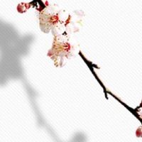 夫妻宫真的影响婚姻吗 夫妻宫相冲能结婚吗