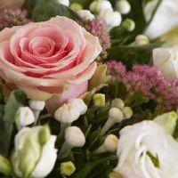 农村从提亲到结婚的流程 男方提亲不要空手去女方家