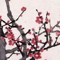 86年虎男一生的财运 想发财一定要注意这些