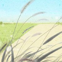 寒冷的食物节是清明节，清明节，祖先，寒冷的食物受到尊重的梅森