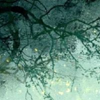 清明节有什么风俗传统 扫墓祭祖插柳以求平安