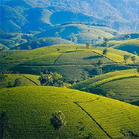 在2022年的月历里有30天吗？农历新年人民的命运是什么？