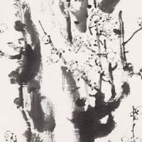 车牌号3个6多少钱 吉祥吉利的车牌号码盘点