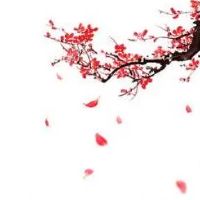 手机号码如何拆分看数字能量 吉利幸运号码