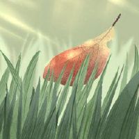 夏天不应该开始肺部的大量补充，过早干燥干燥