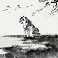 86年虎2022年财运怎么样 运势稳定可适当理财