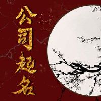 公司名为2022最新的三字符腰带叶企业未来辉煌的名字