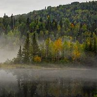 这是美好的一天吗？