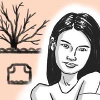 女性的乳房，有一个明亮的大脑，你可以做到。