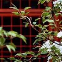 车牌尾数是1好还是3好 买车需要注意的事项