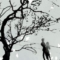 烟草和酒精茶四星级意味着如何选择烟草和酒精茶