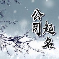 公司霸气和收集一个好名字