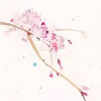 夫妻宫与子女宫相冲后果 子女宫化忌入命宫